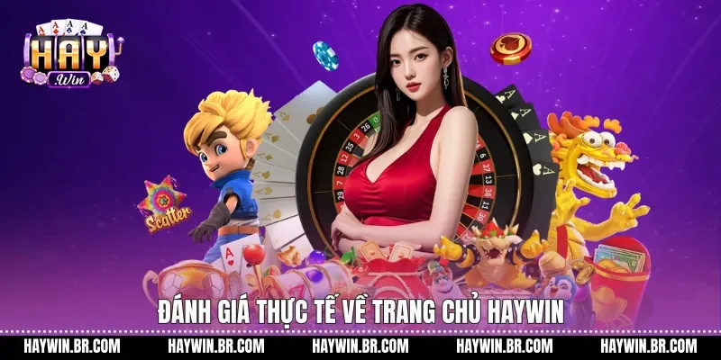 Đánh giá thực tế về trang chủ Haywin